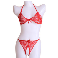 Red Lace Open Crotchless Bra and Thong Bikini Set for Women at itspleaZure